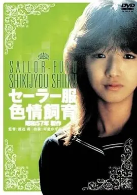 重生1998 短剧封面